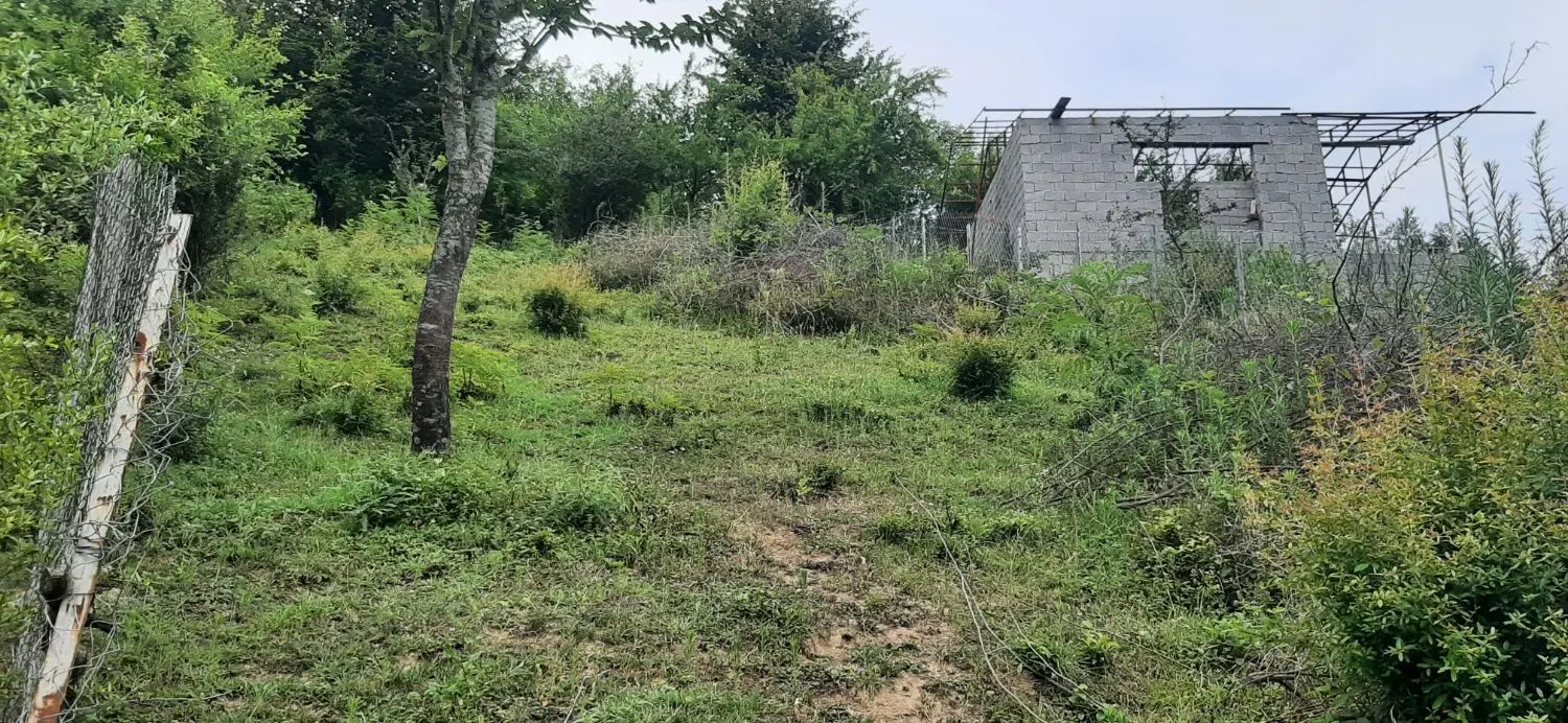 فروش زمین ۵۰۰متری روستای شته مجی