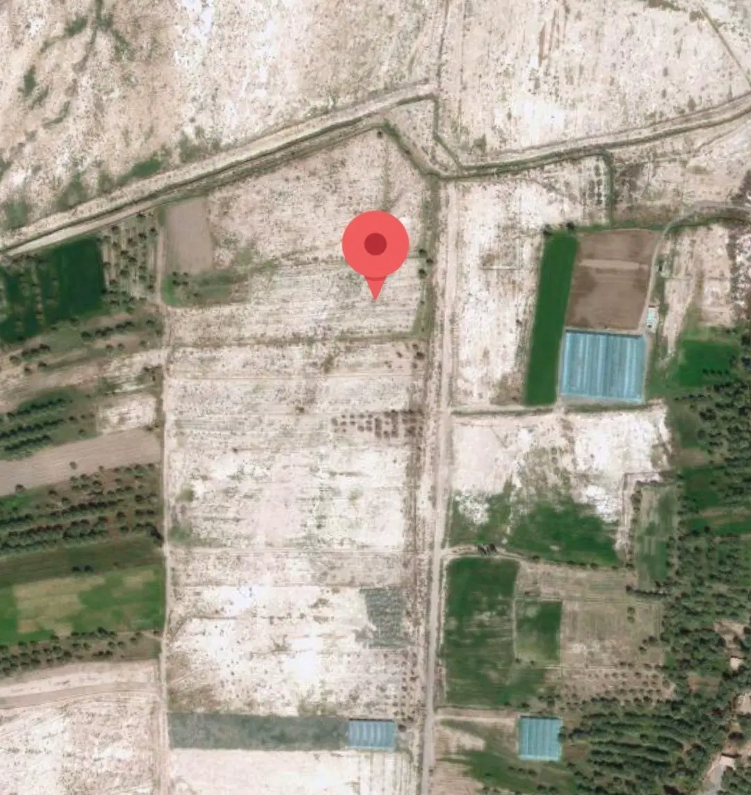 فروش زمین کشاورزی در جیرفت