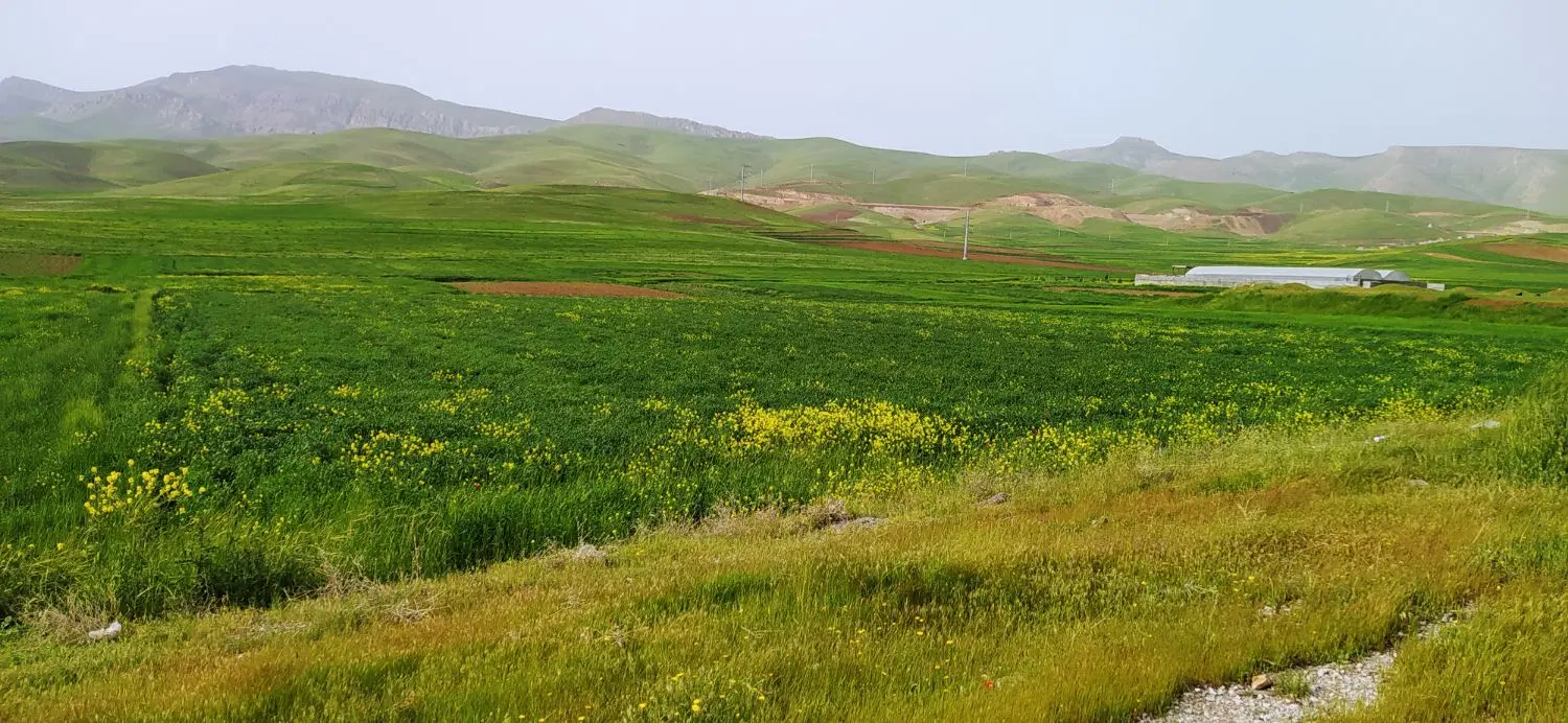 زمین فروشی