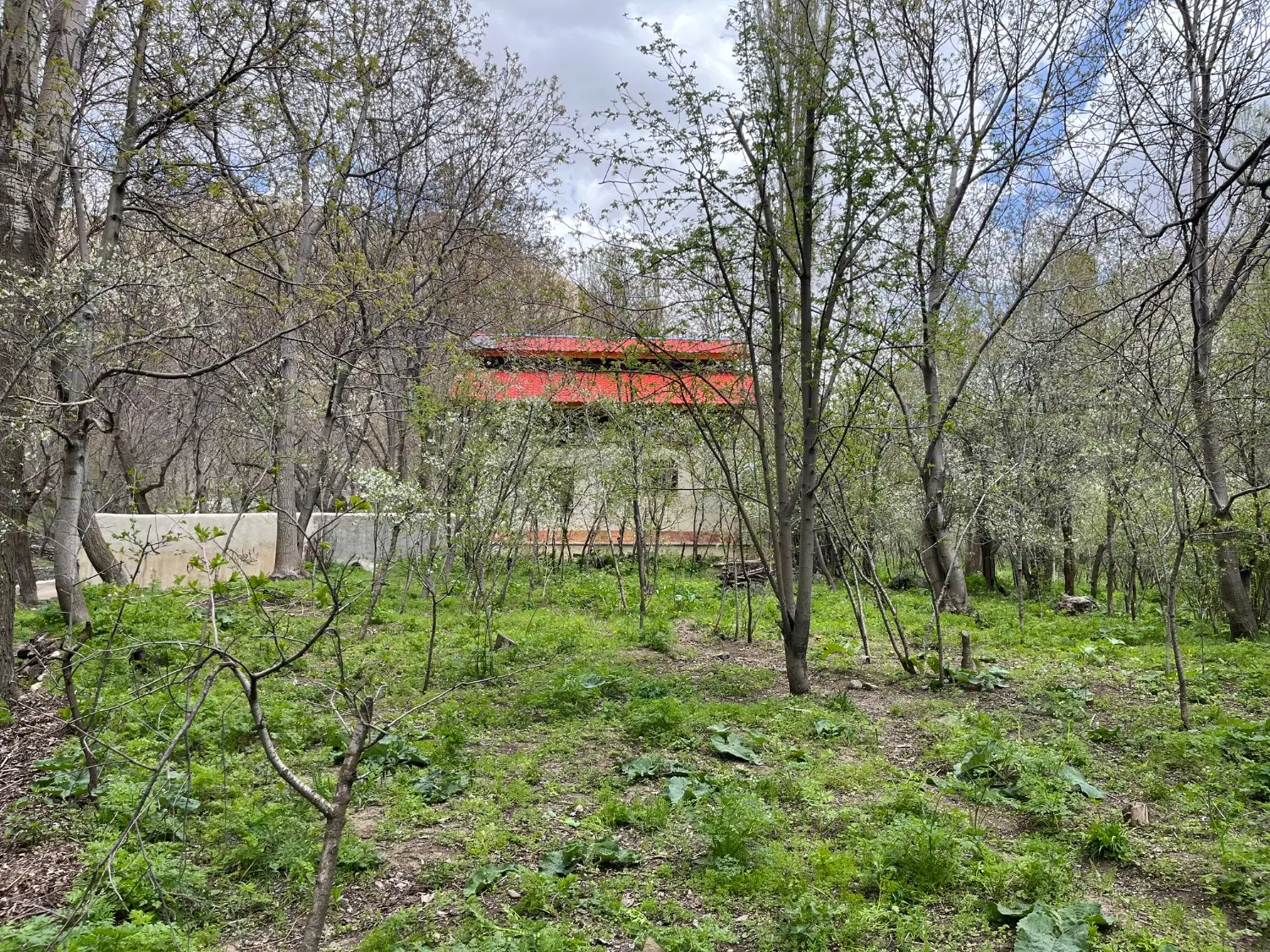باغ روستای دروان