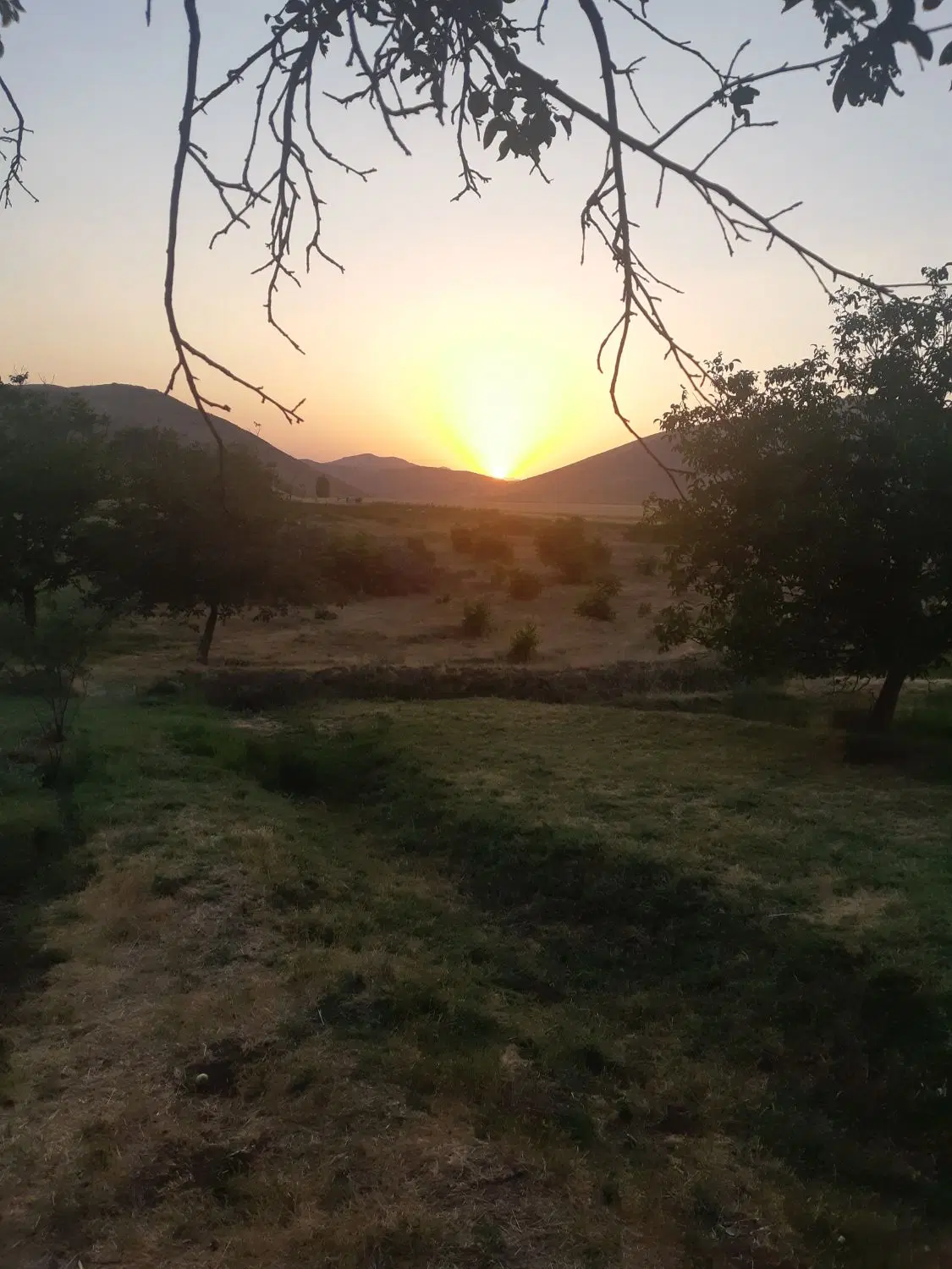 امتیاز زمین دادگستری پشت استخر