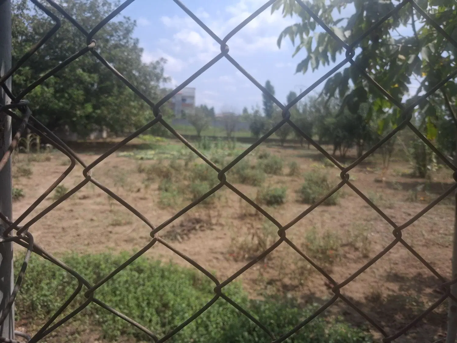 زمین فروشی