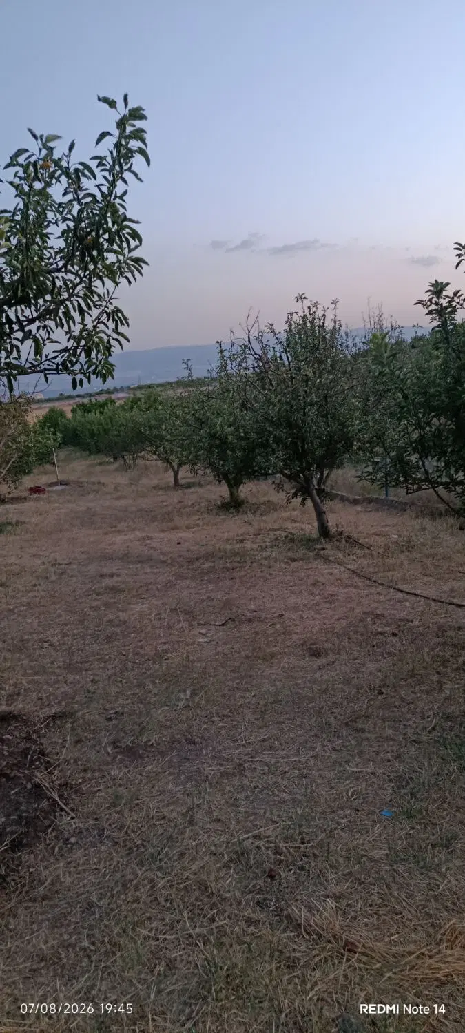 باغ در پسته بیگ اهر