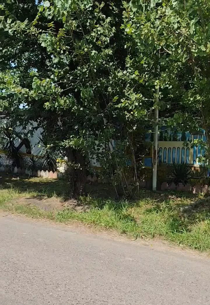باغ رویایی و زیبا  ۱۷۰۰ متر روستایی چنچه