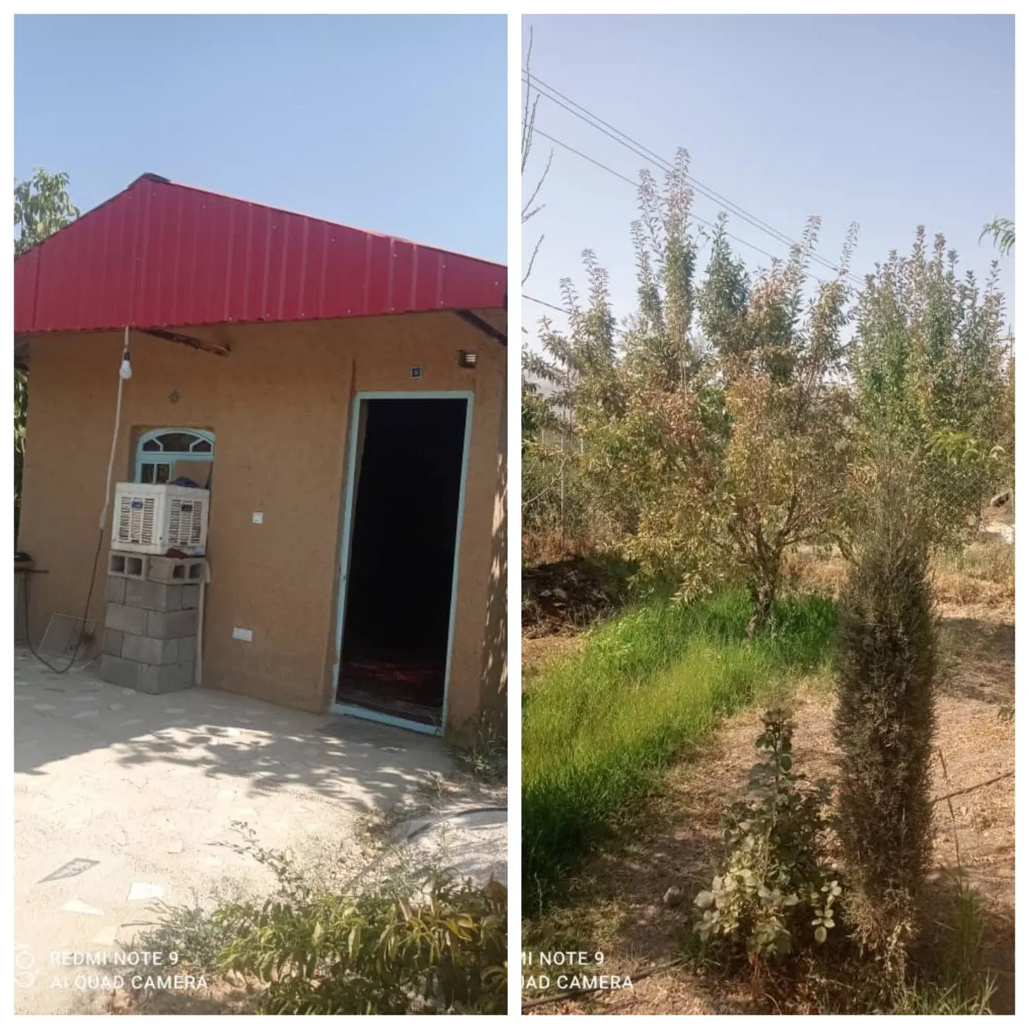 باغ شهری