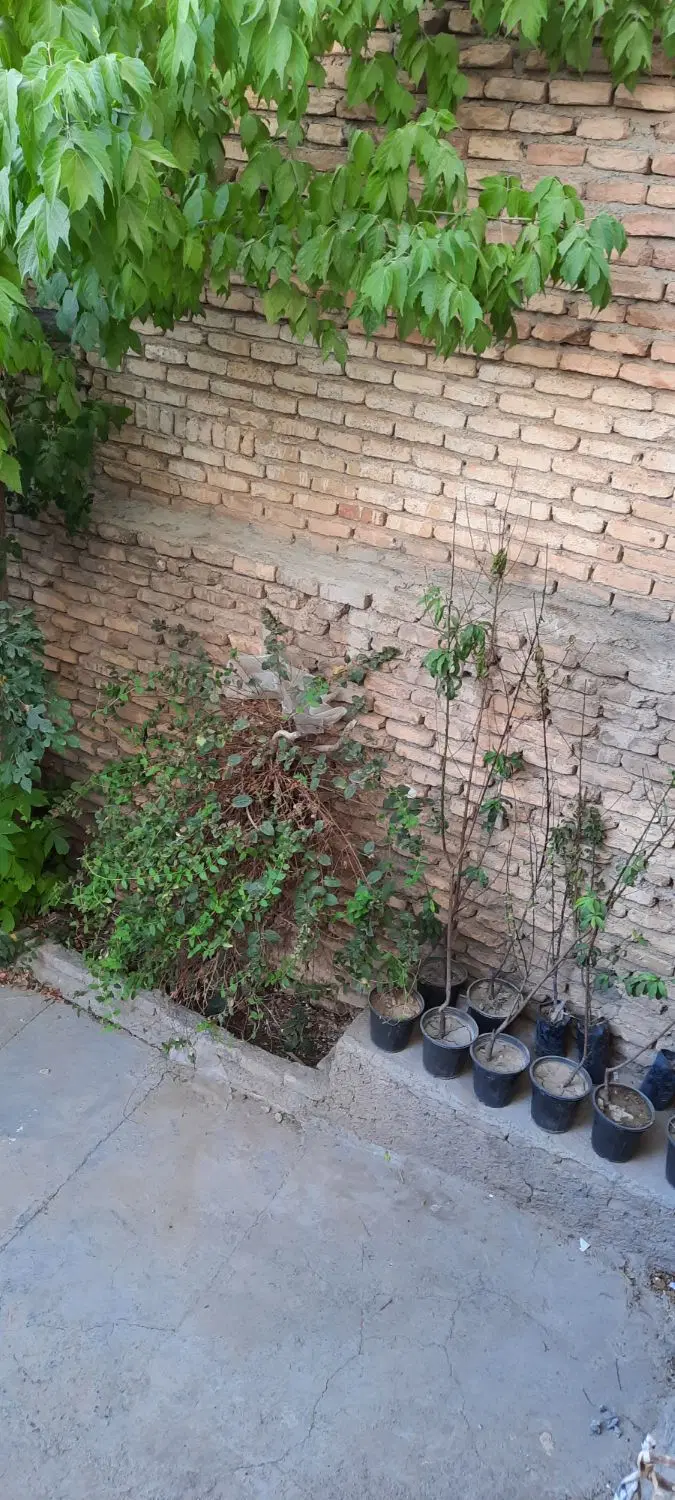رهن و اجاره مسکونی ۱۶۰ متری پارکینگ دار دربست
