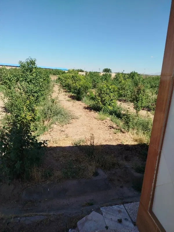 باغ بوژمهران  خوش آب هوا