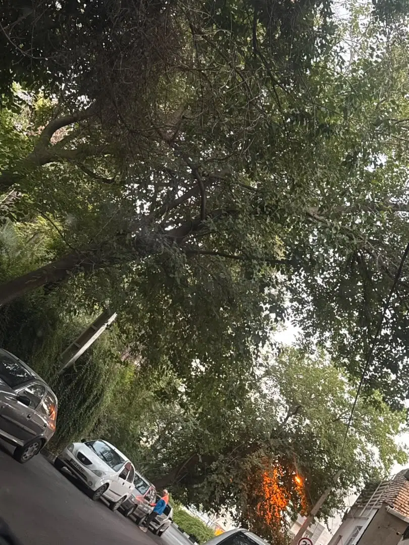 زمین بلوار حافظ صدرا چهار میخ پشت ریل با آب