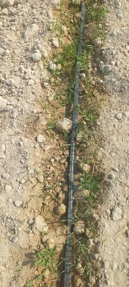 زمین