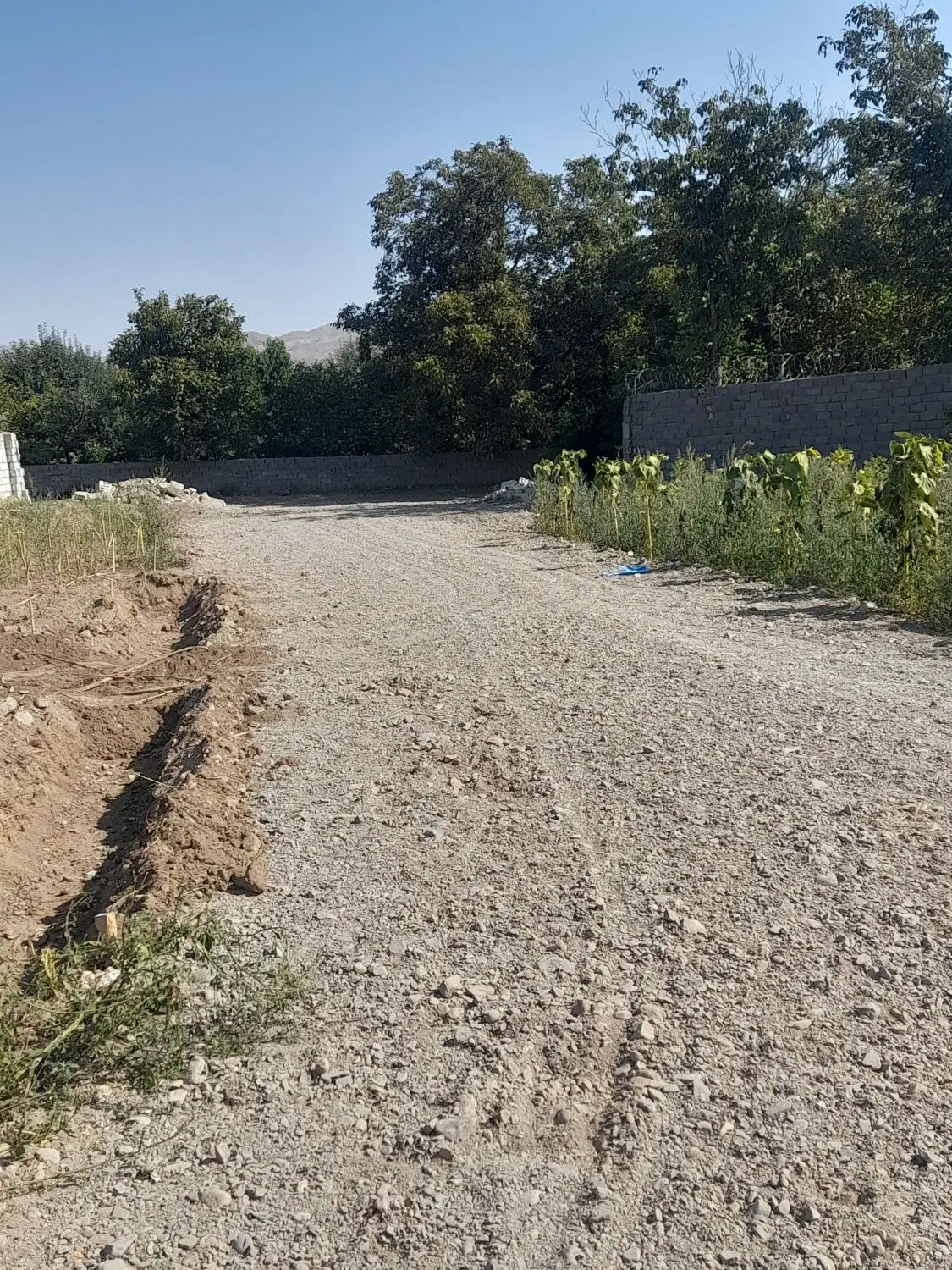 باغ کشاورزی