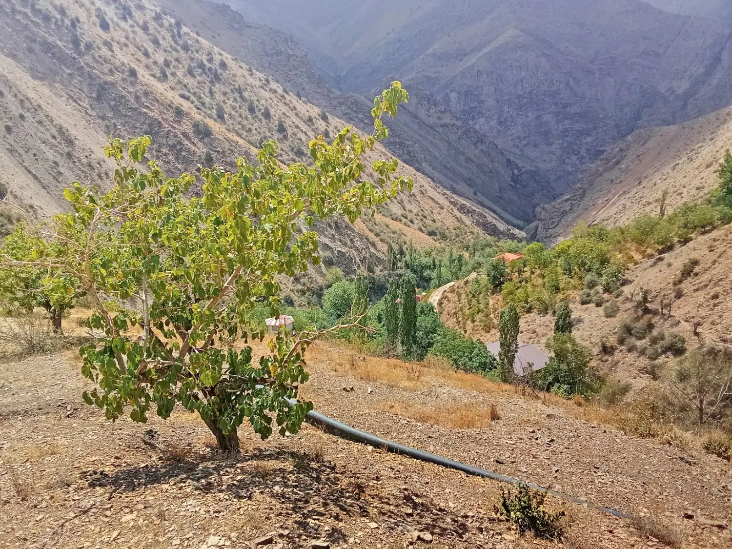 زمین در جاده چالوس، کیلومتر ۵۰ معاوضه میکنم