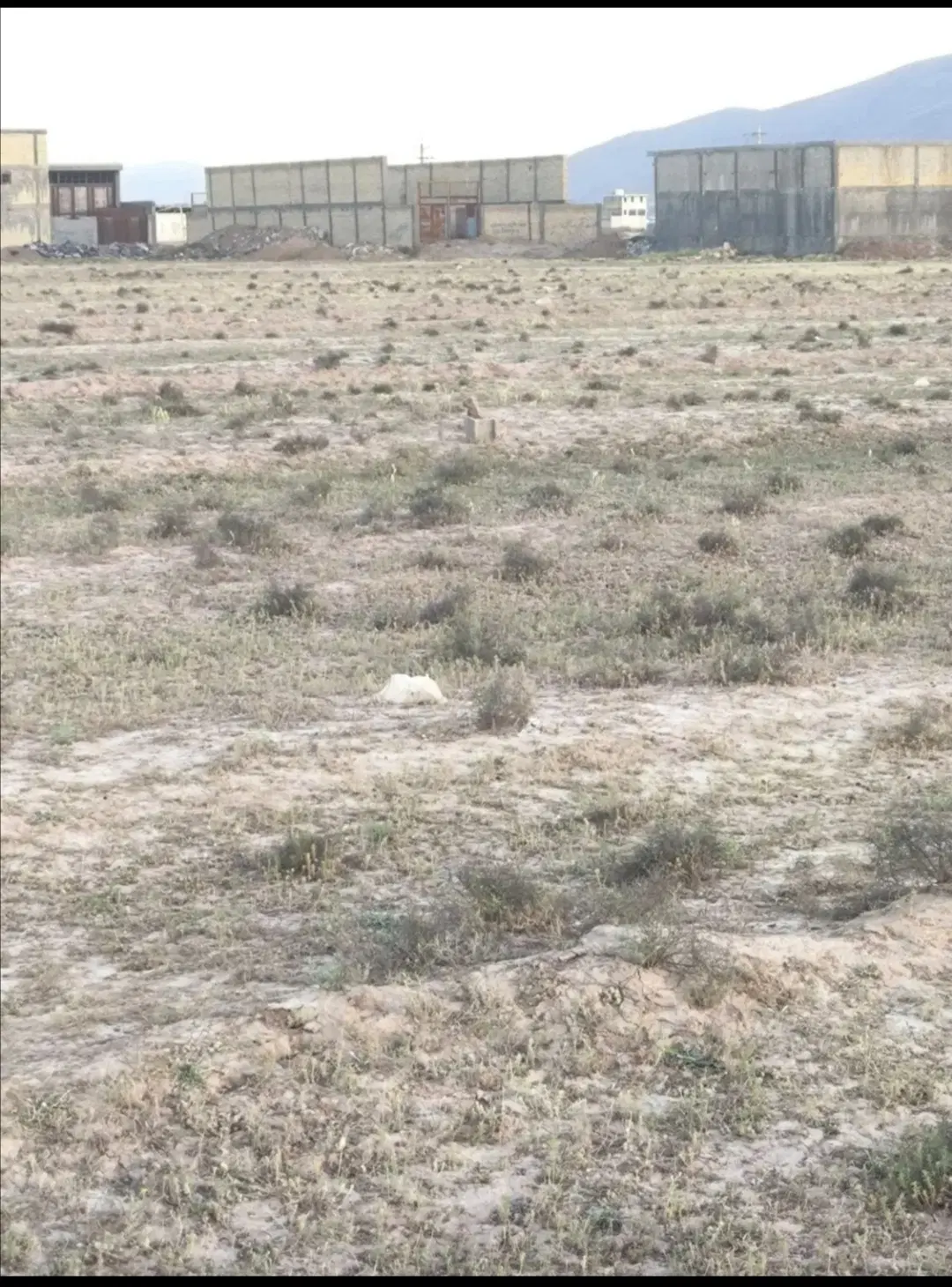 سلام فروش زمین مسکونی در جرسقان برگزار