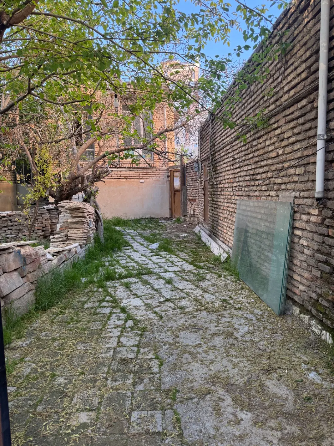 زمین ۱۷۱ متری سعدی