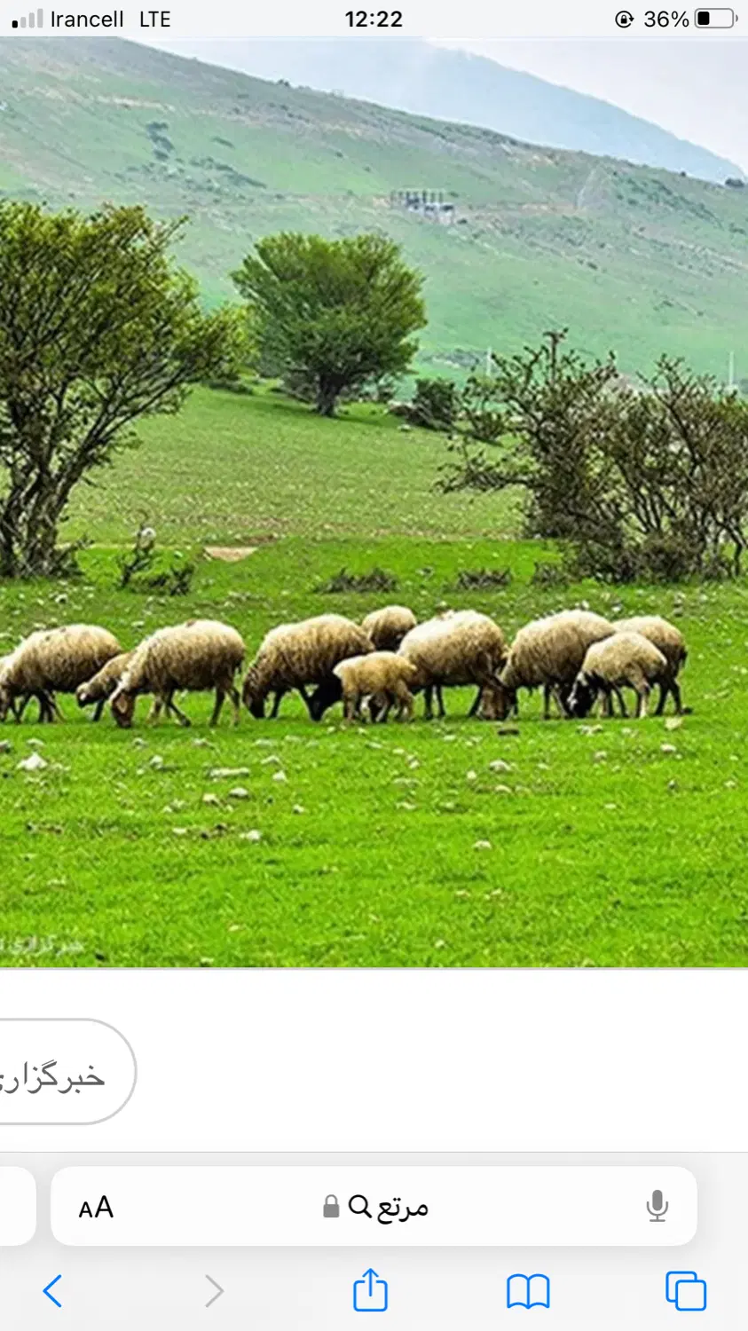 زمین