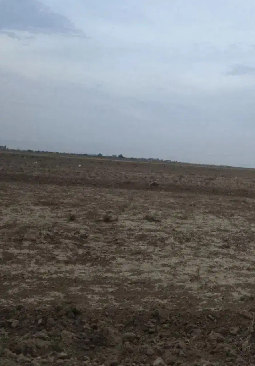 زمین طرح هادی در روستای سوسن اباد
