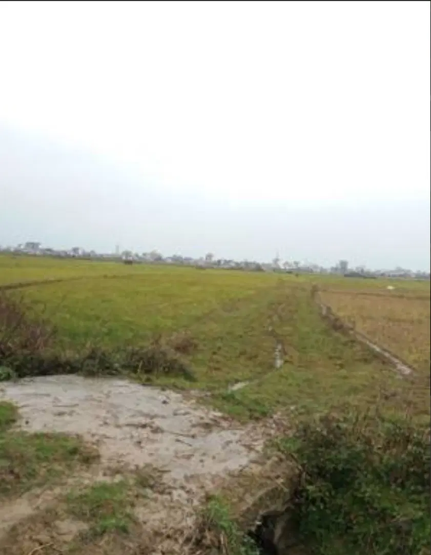 فروش زمین مناسب باغ منصوریه