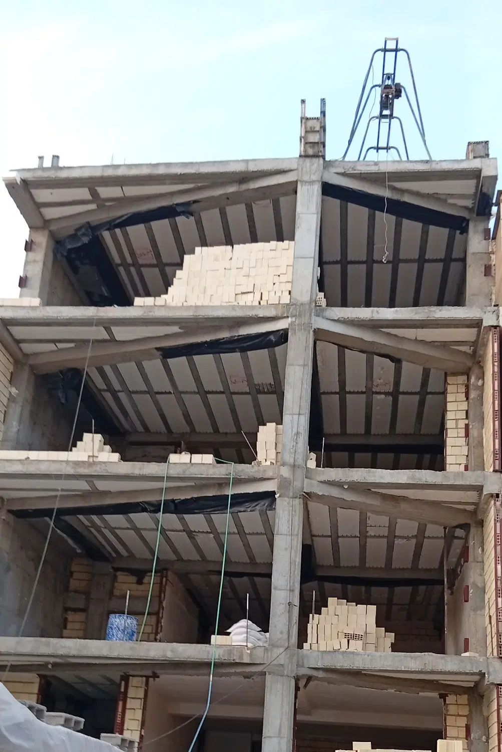 پیش فروش با هنر جنوبی