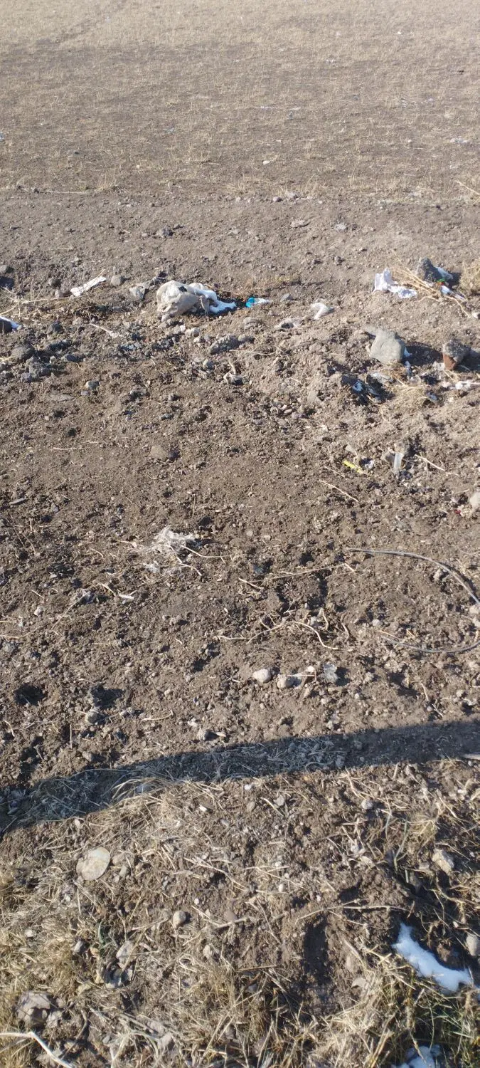 ۲۰۰۰زمین دیناچال