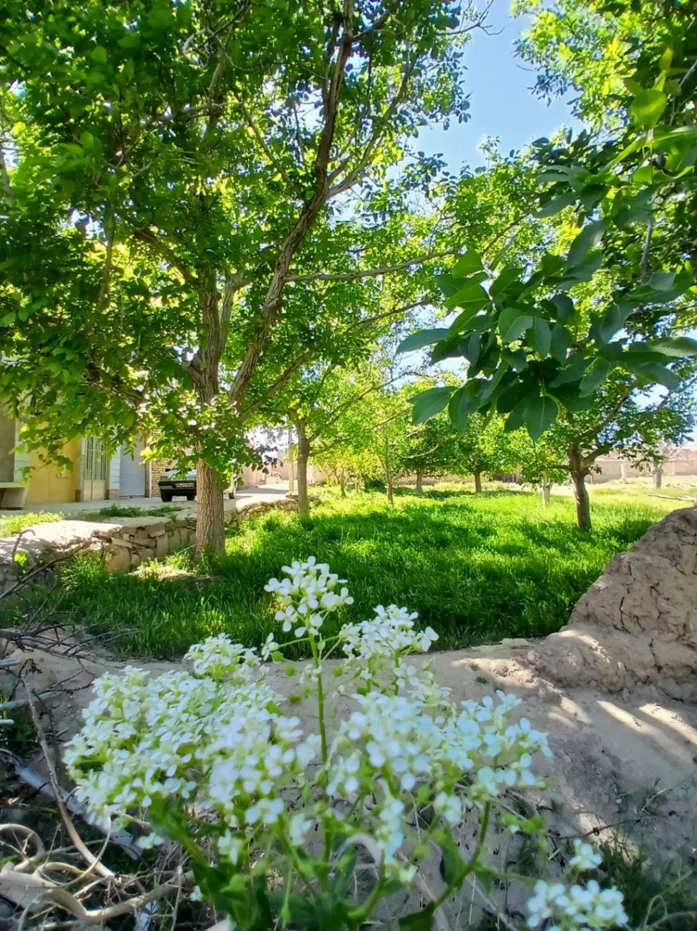فروش زمین در آقچه کند