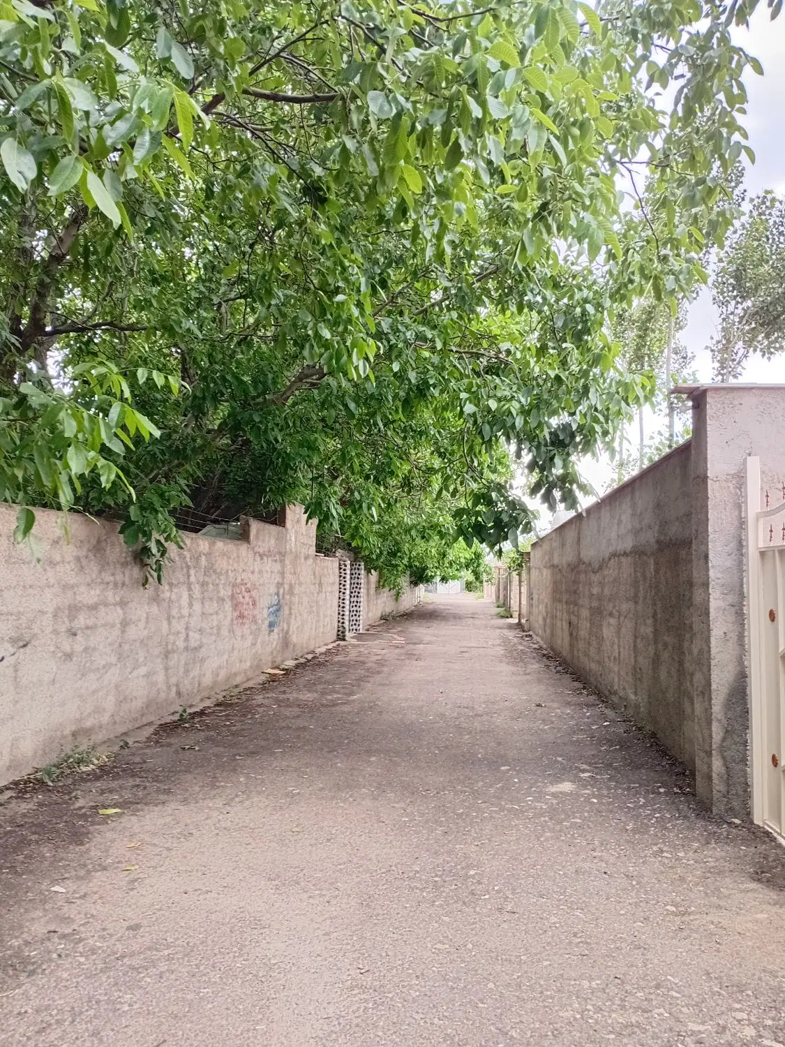 زمین ۴۵۰ متر شهرکی سرسبز کردان سهیلیه