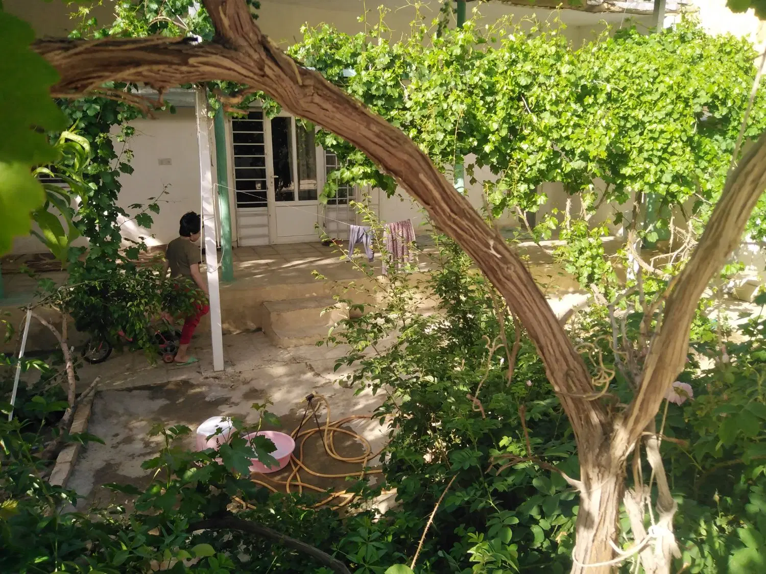 ویلایی گوگد