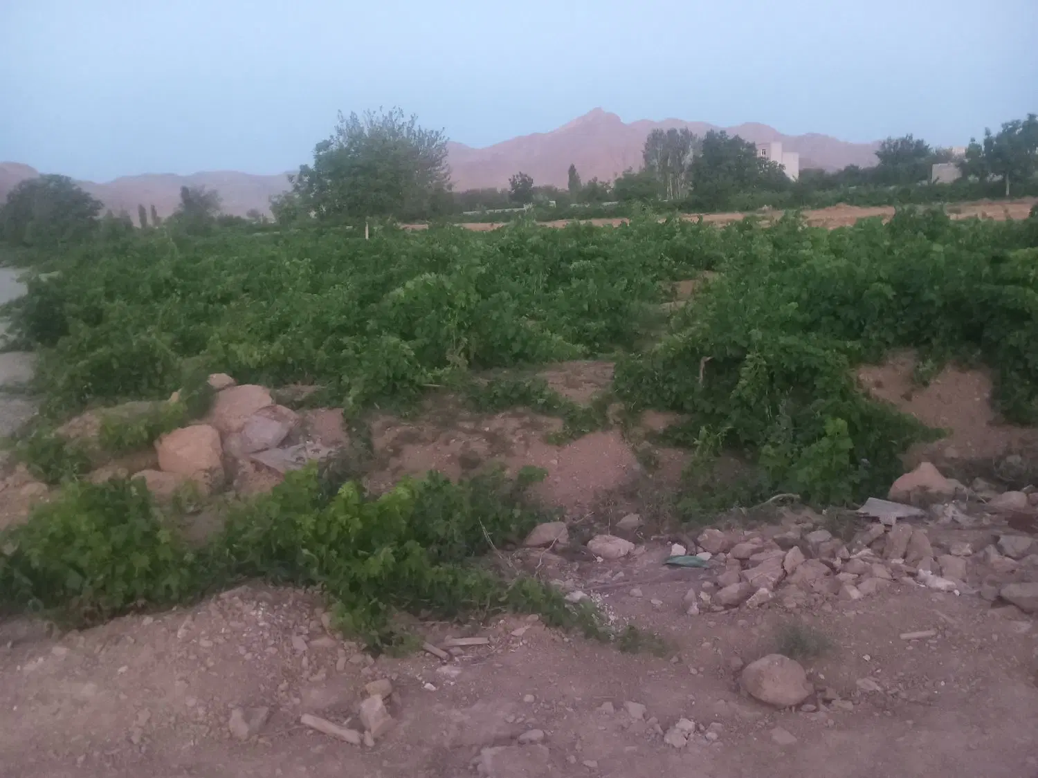 زمین با جواز ساخت ویلا بهترین نقطه چررا