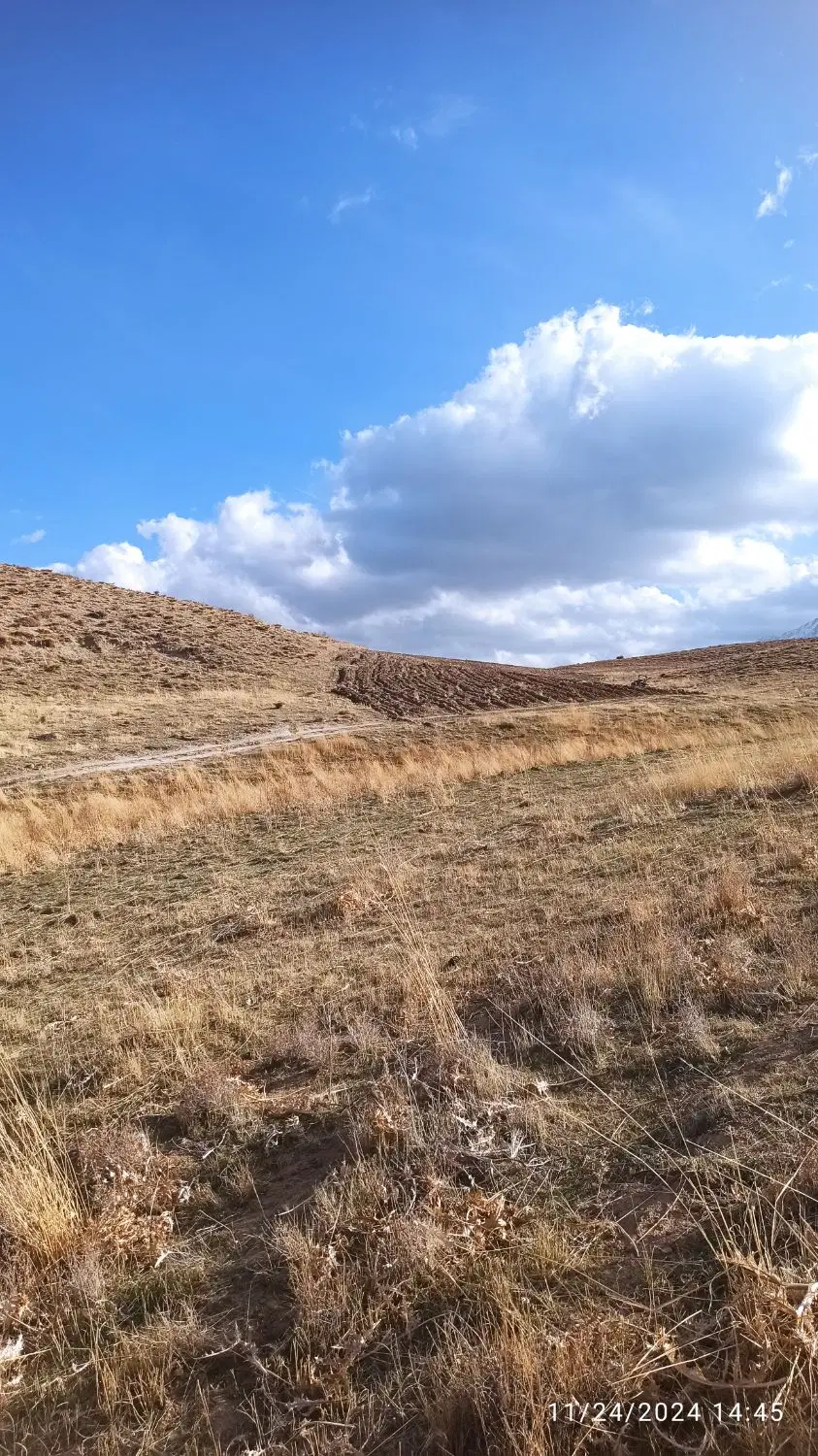 فروش ۱ الی ۲ هکتار زمین کشاورزی در پادنا