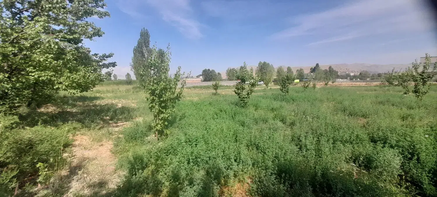 باغ در روستای توریستی کوسچ