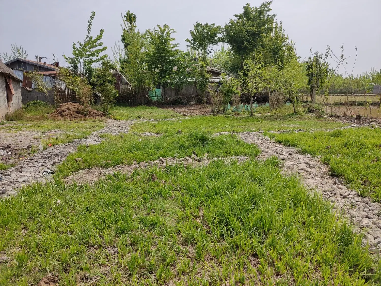 ۷۲۵ متر زمین مسکونی در برمچه