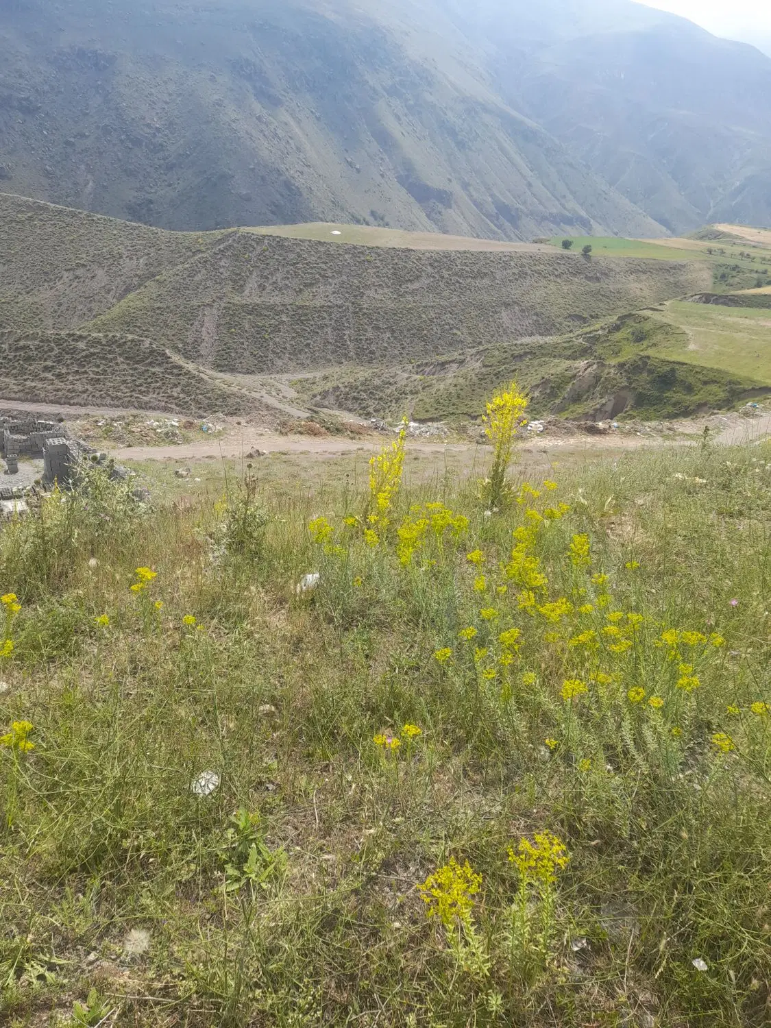 زمین تجاری مسکونی مناسب برای سرمایه‌گذاری