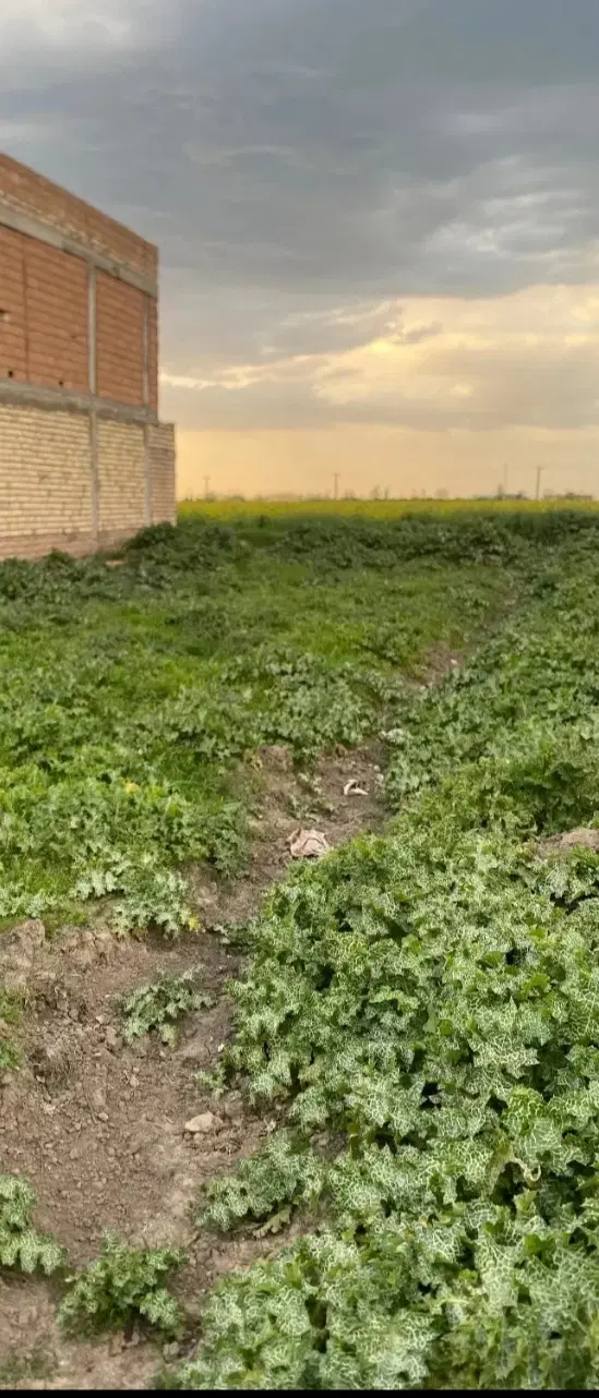 زمین مسکونی شهرک بهداشت