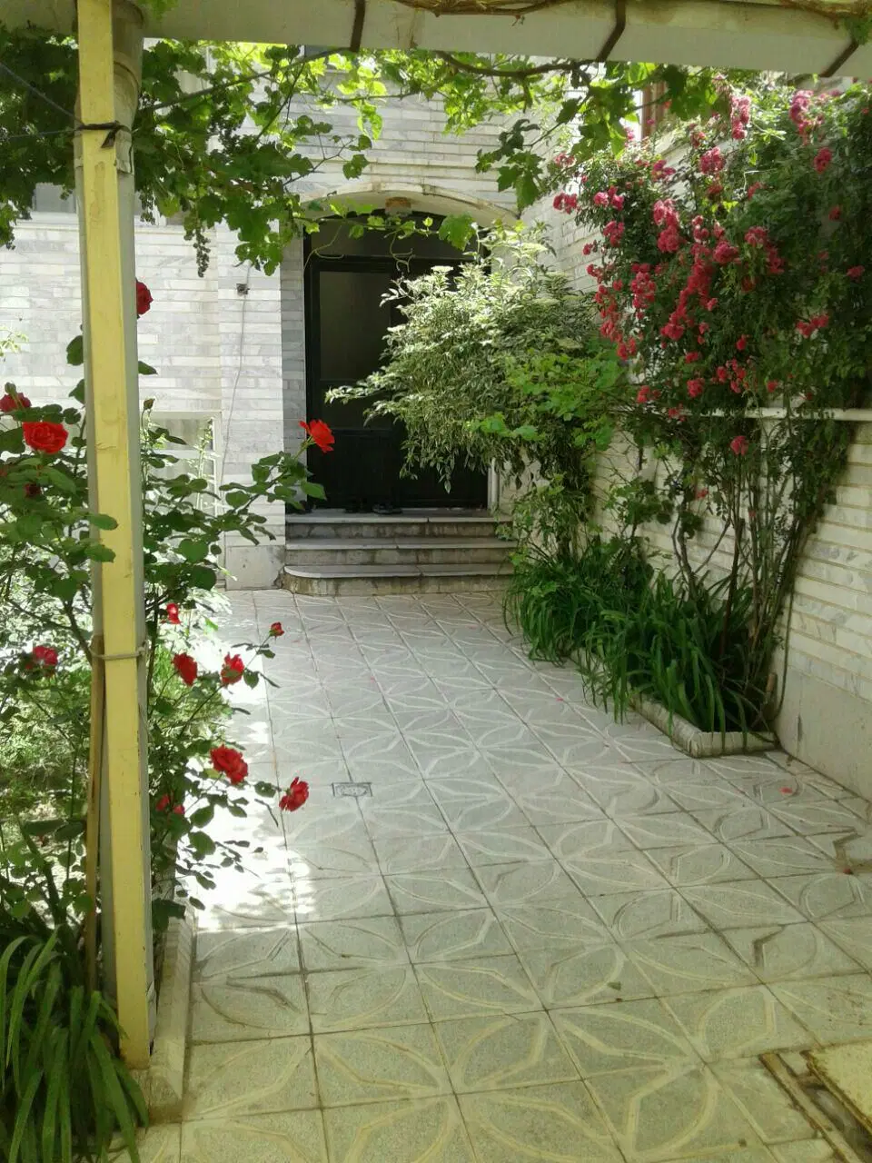 ۱۳۵متر مقصودیه