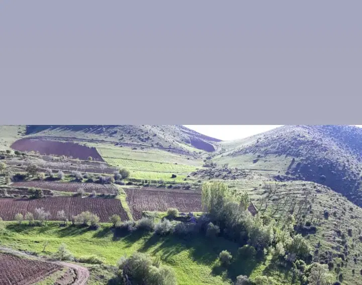 زمین کرناچی۰ کوچه ۱۰۲