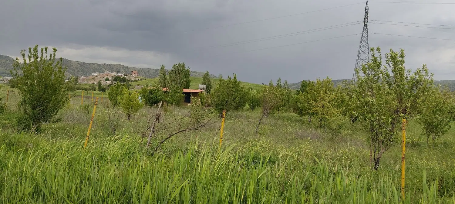 باغ 1570متری نزدیک روستای درزیان روی جاده گاز