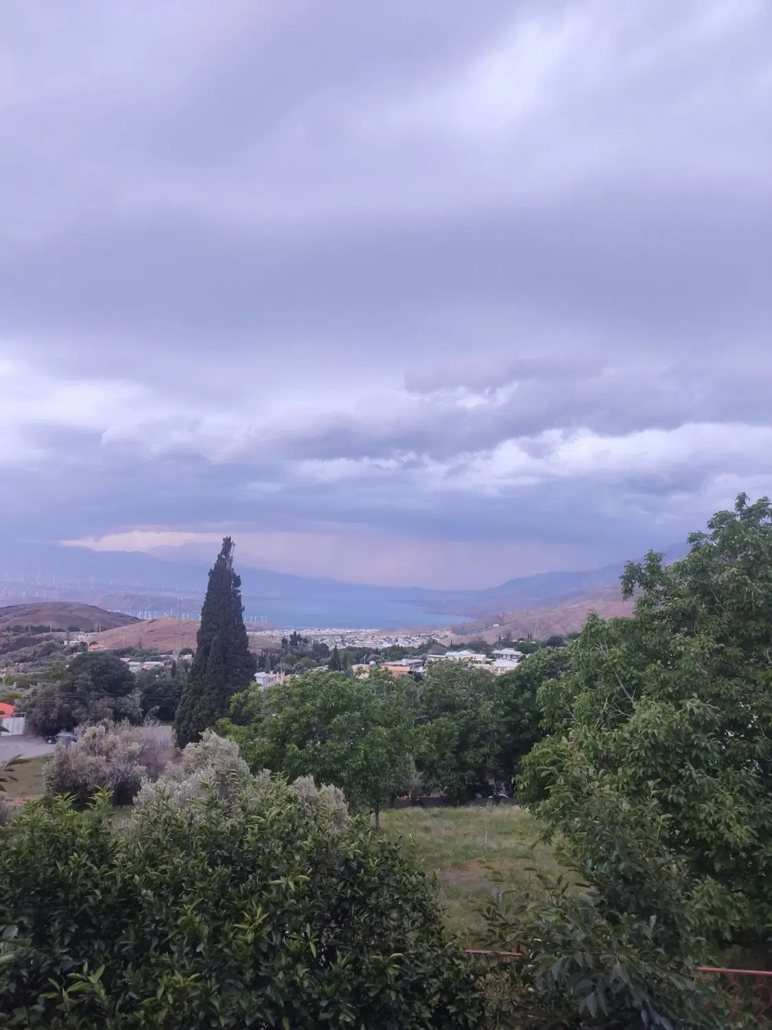 زمین وباغ