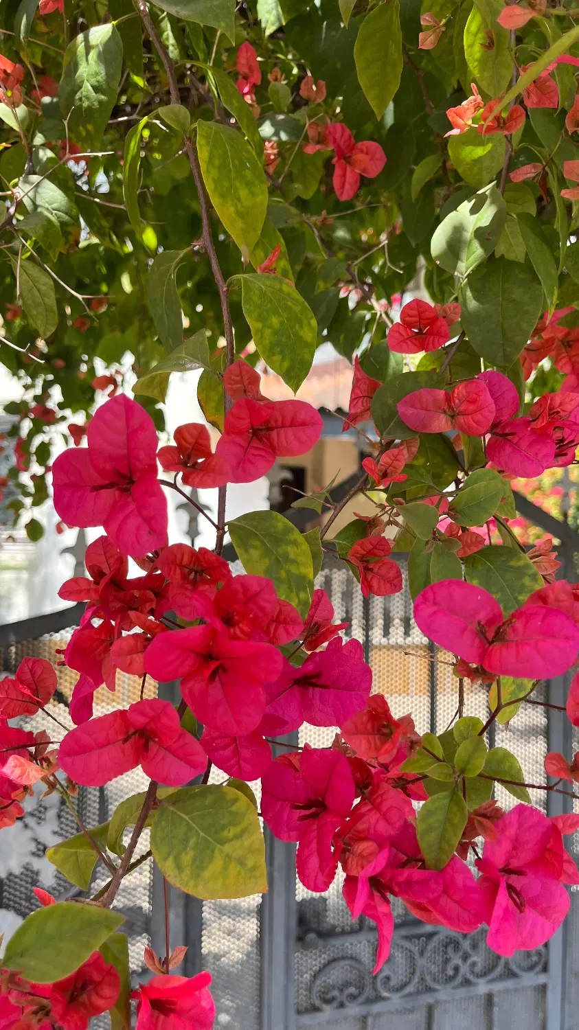 ویلادوبلکس دوخواب نوشهرسیسنگان صلاحدین کلاه