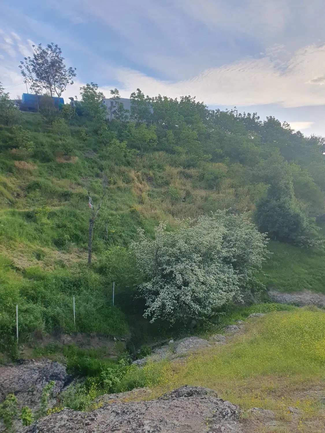 یک قطعه زمین تجاری مسکونی ۷۸ متر با سند رسمی