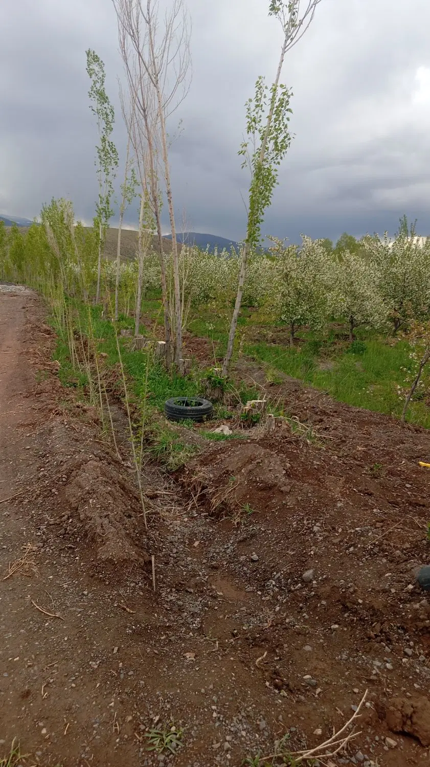 فروش زمین زراعی