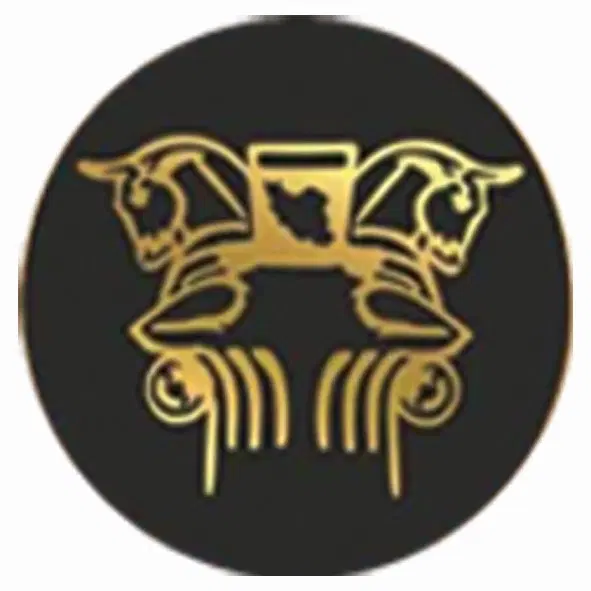 ویلایی جنوبی۳۱۲