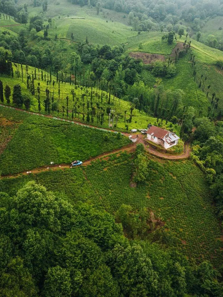زمین شالیزار