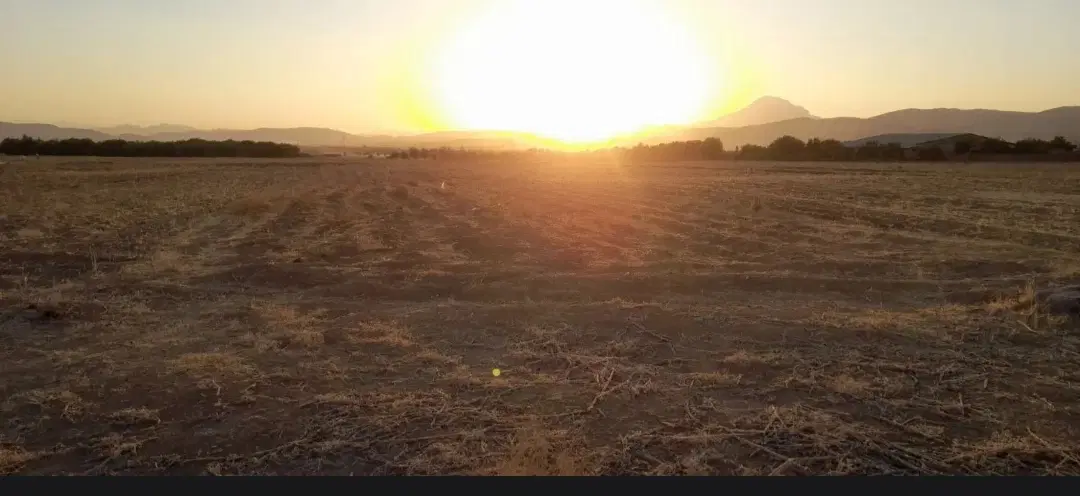 زمین کشاورزی