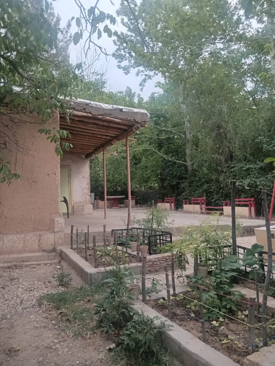 باغ باغچه زمین