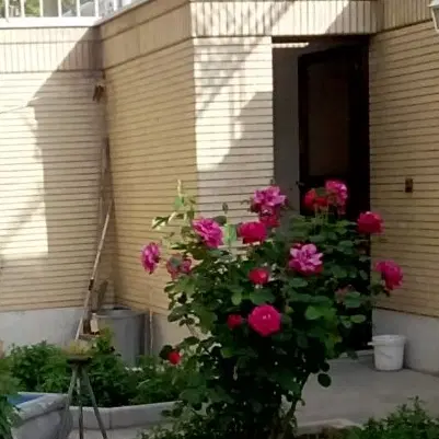 خونه فروشی