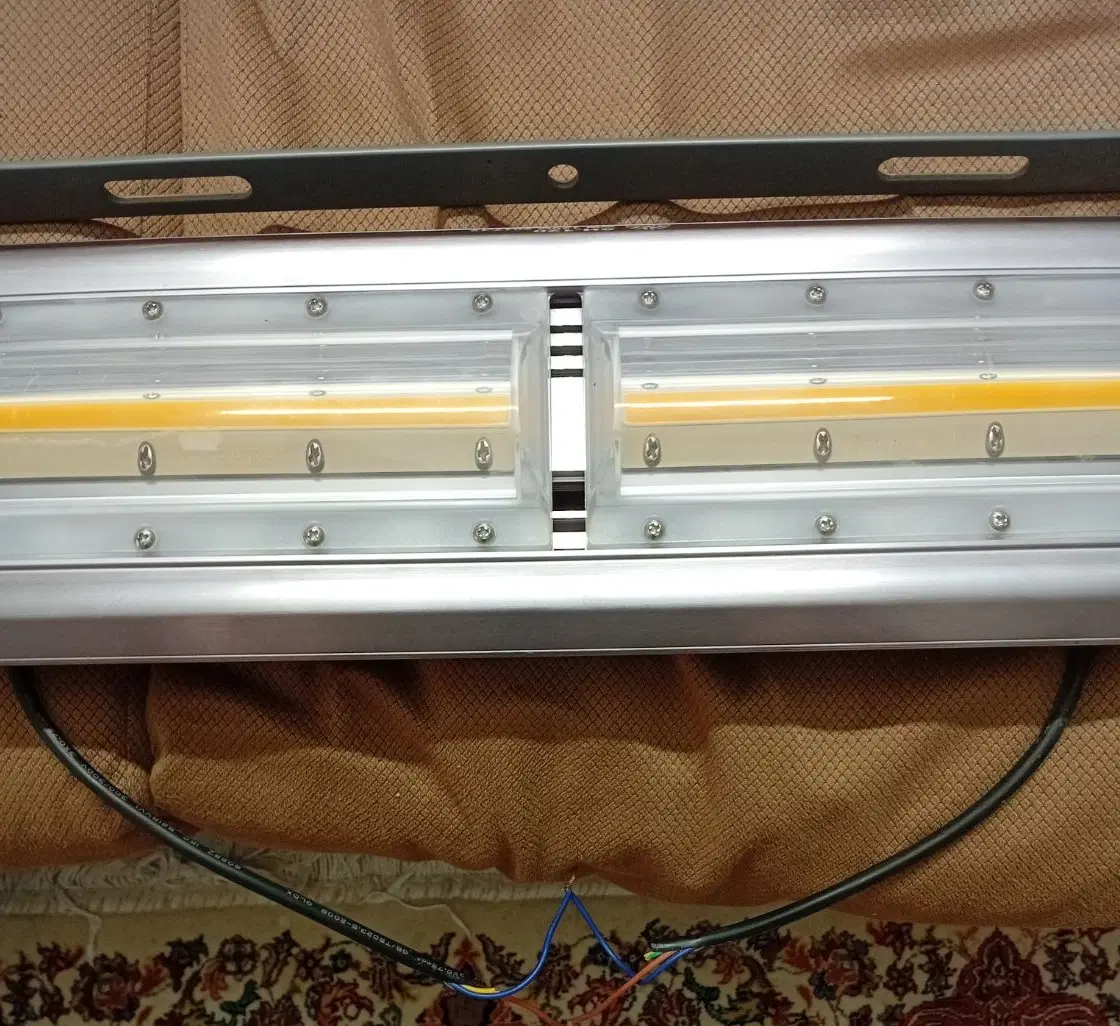 فروش باغ انگوری
