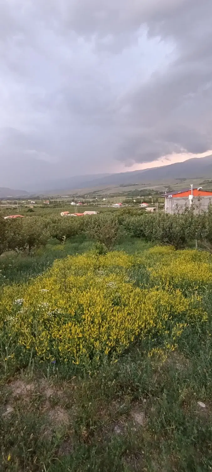 باغ زراعی
