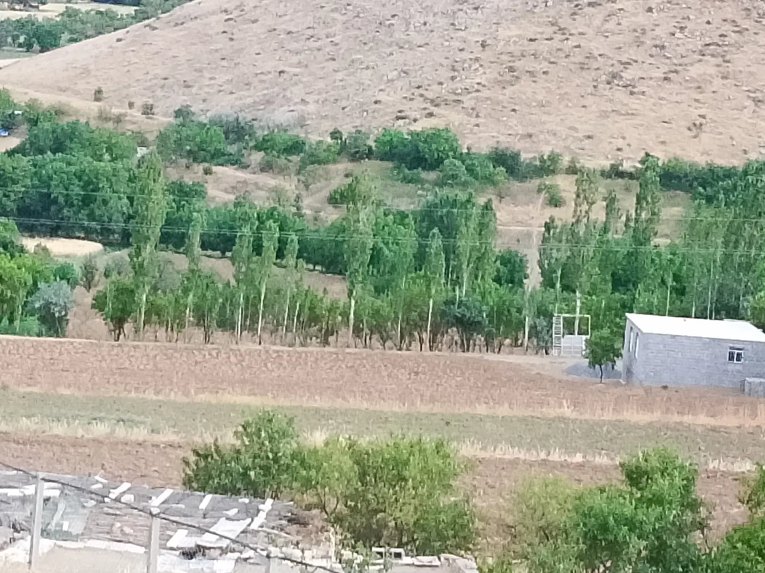 زمین کشاورزی
