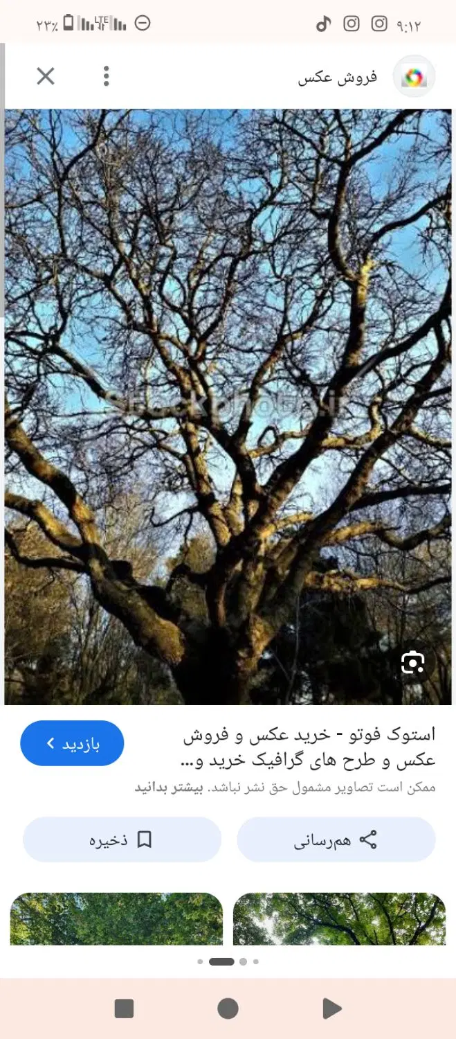 طرشت 2000مترکاربری باغ با بر65 زیرقیمت