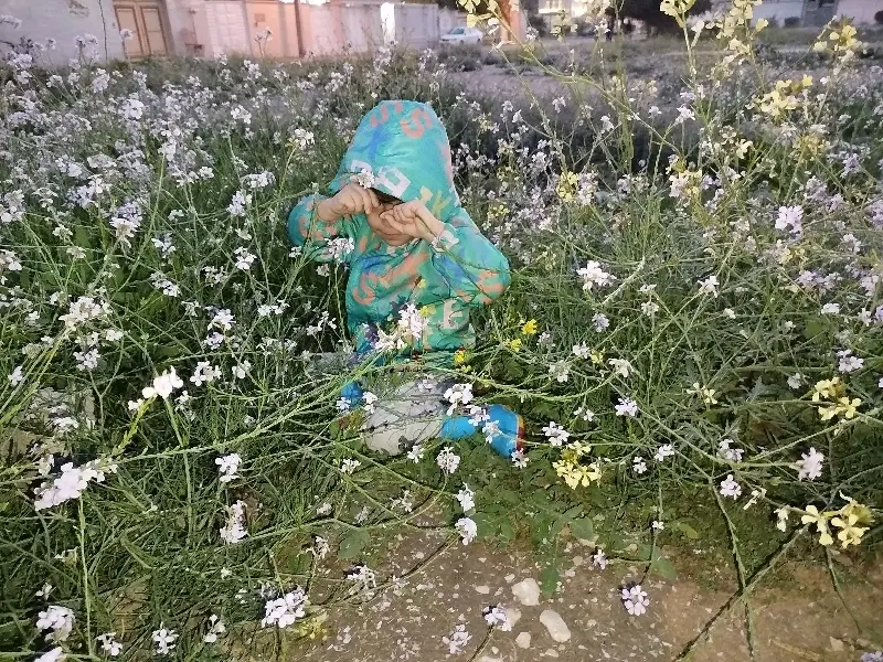 فروش زمین مسکونی روستای گزبلند