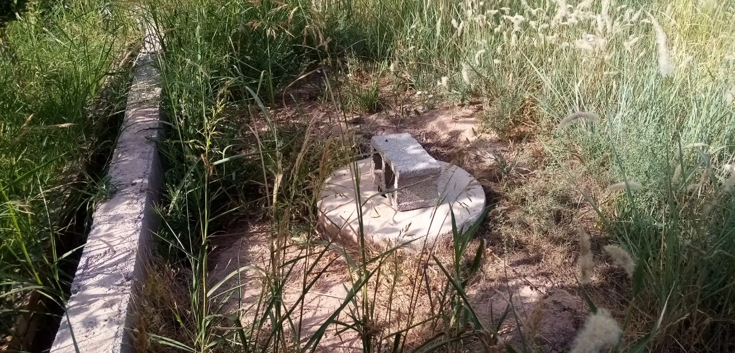 باغچه اصیل