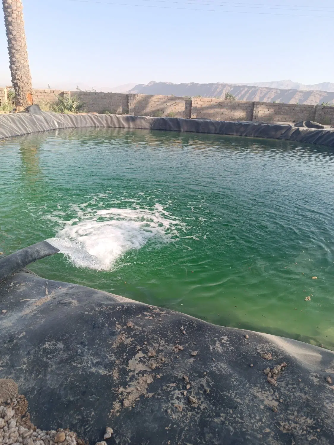 فروش باغ